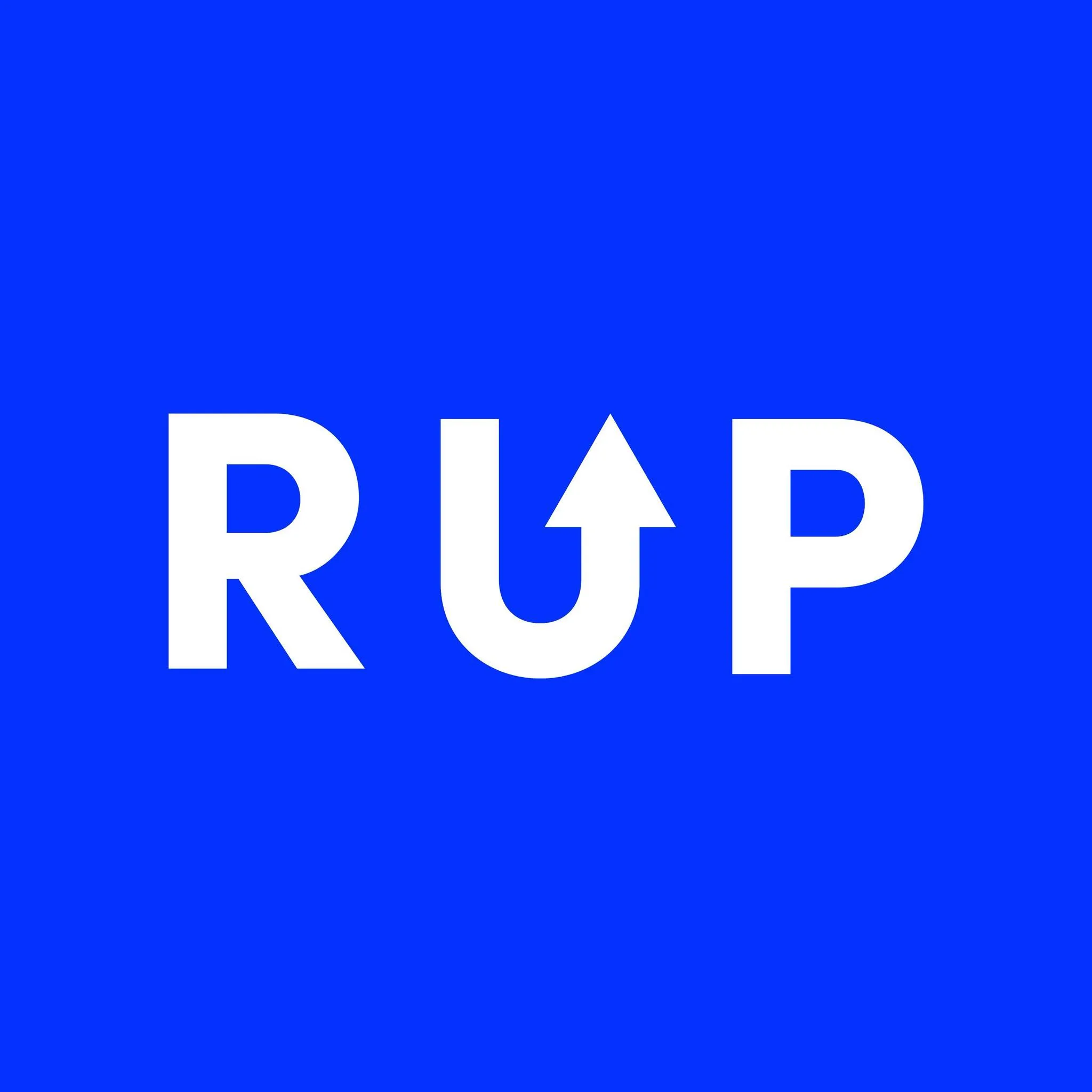 Reichl und Partner Logo