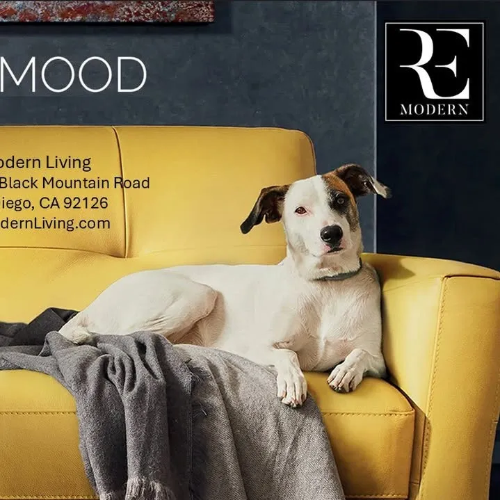 Remodernliving