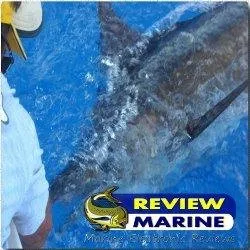 Reviewmarine