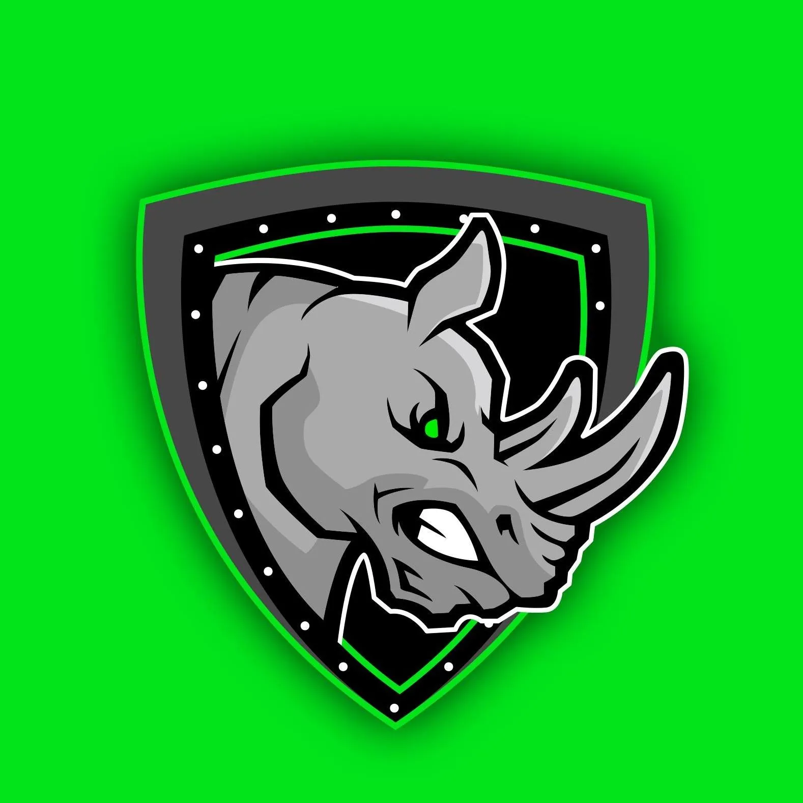 Rhinousainc