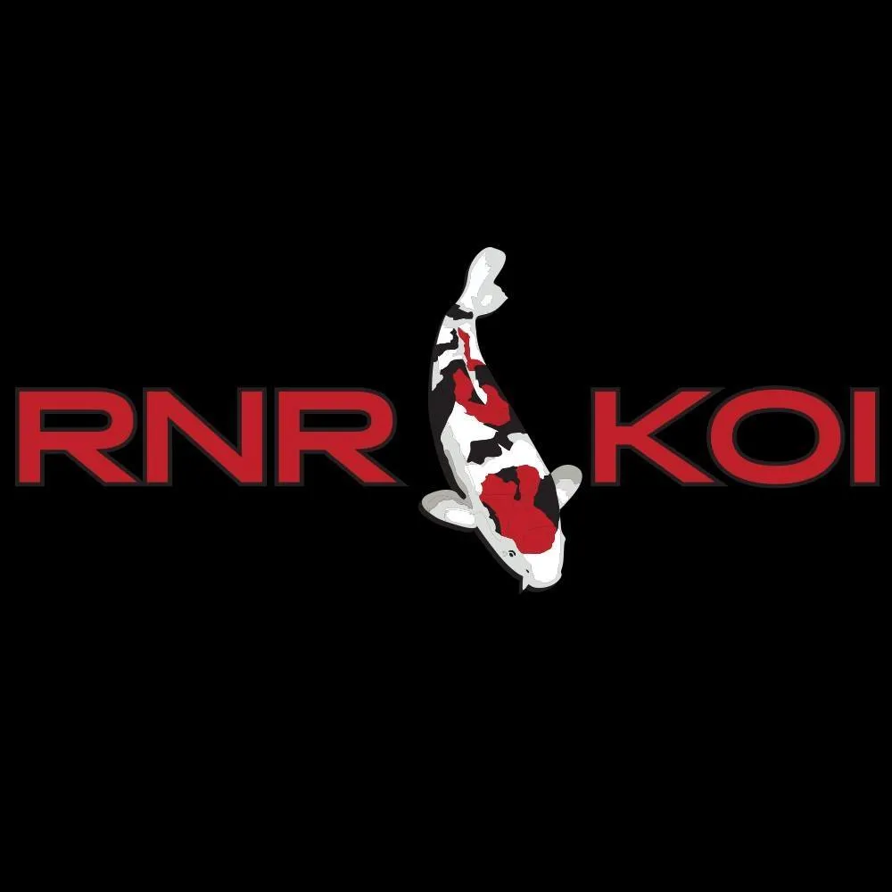 RNR Koi