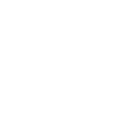Ro light logo
