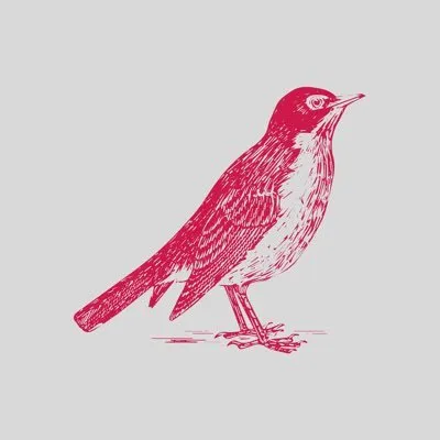 Robin Capital logo