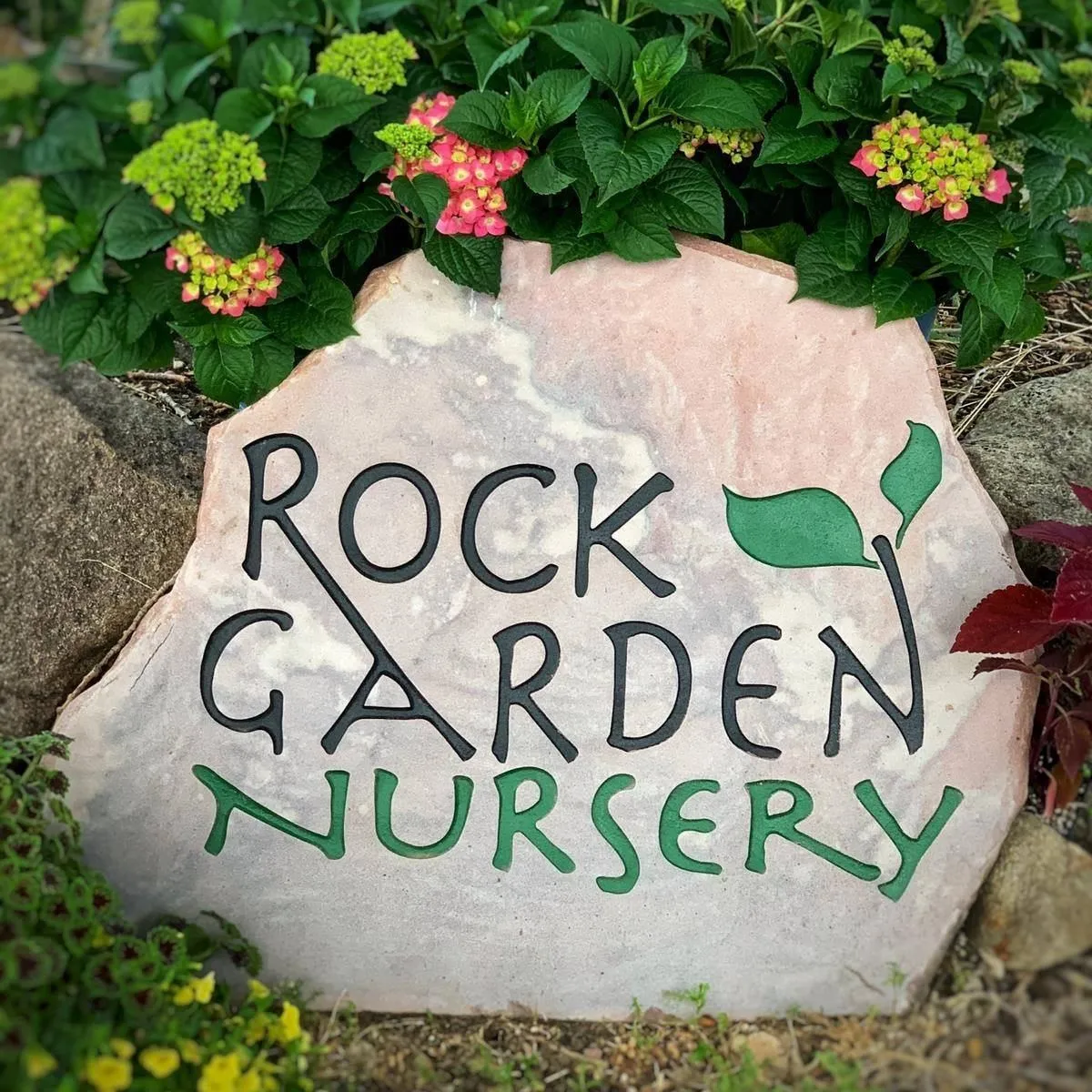 Rockgardensd