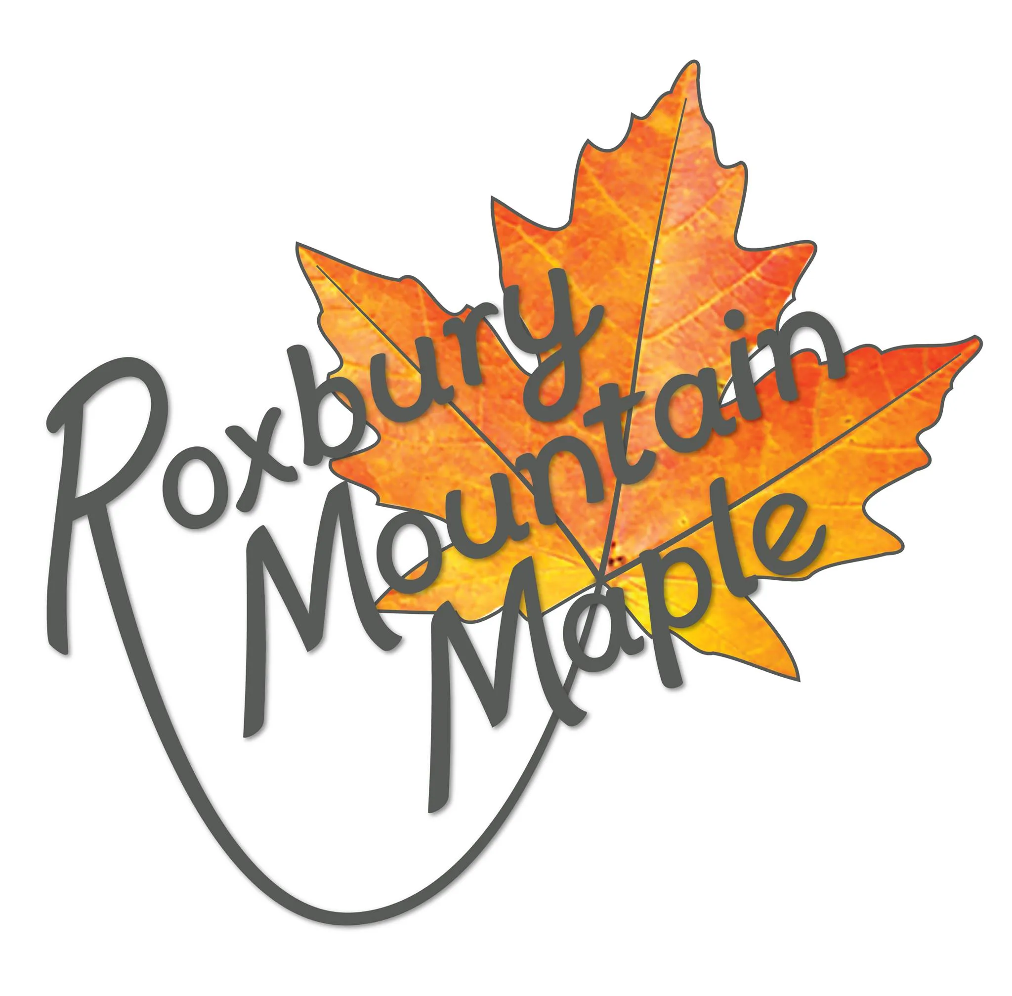 Roxburymountainmaple