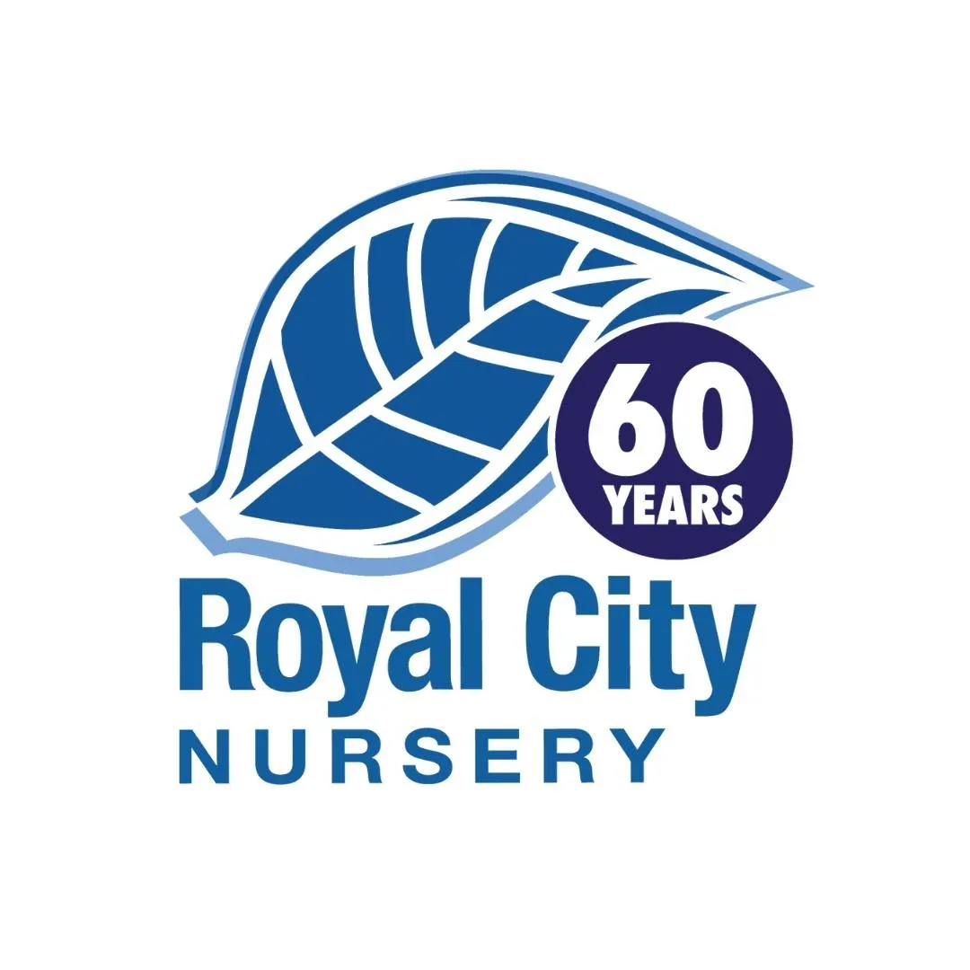 Royalcitynursery