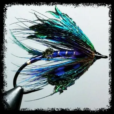 Royal Treatment Fly Fishing
