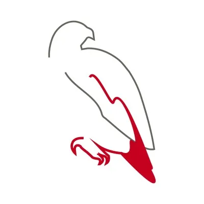 Red Tail Acquisitions logo