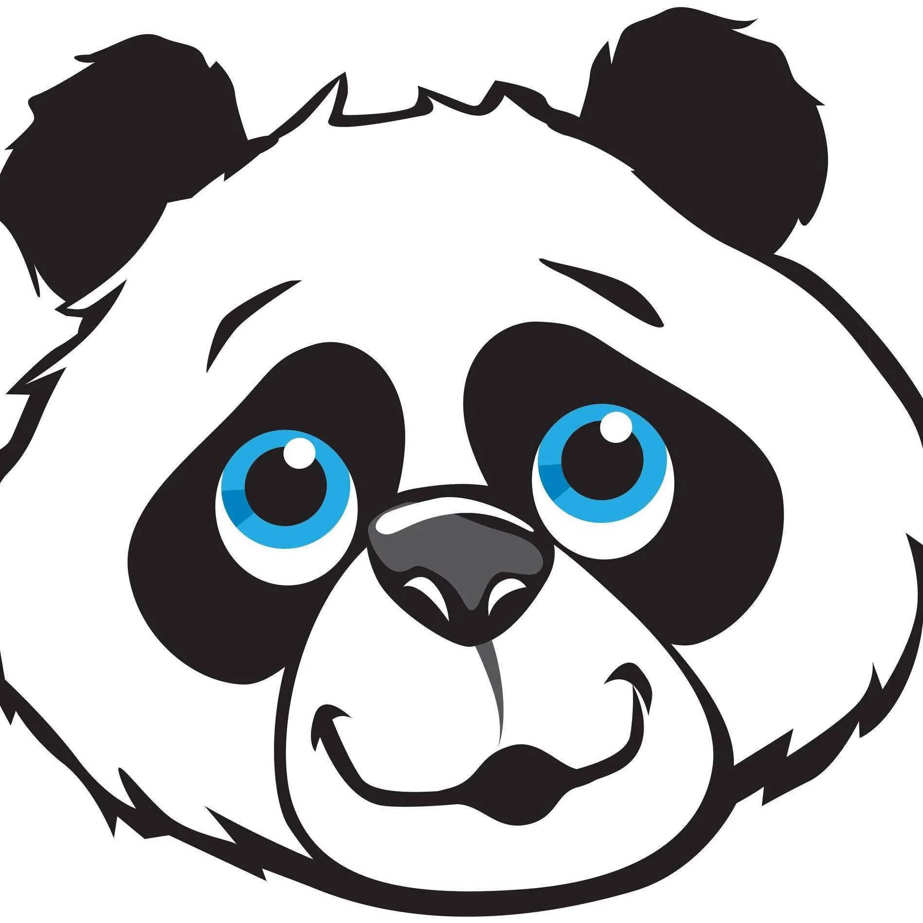 RV PandA / Kunes RV (RVPandA)