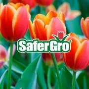 Safergro