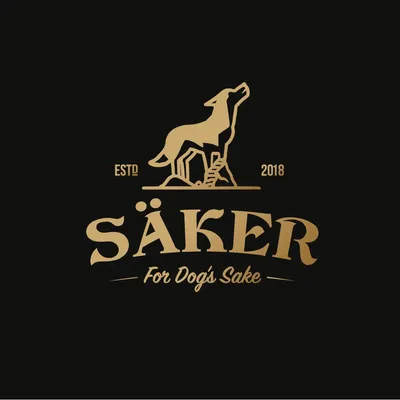 Säker logo