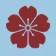 Sakuraco