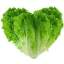 Salad Creations logo