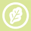 Salad Spot™ logo