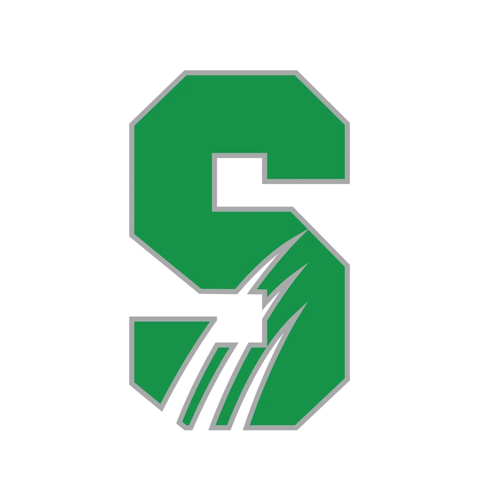 Salem University - Men's Wrestling
