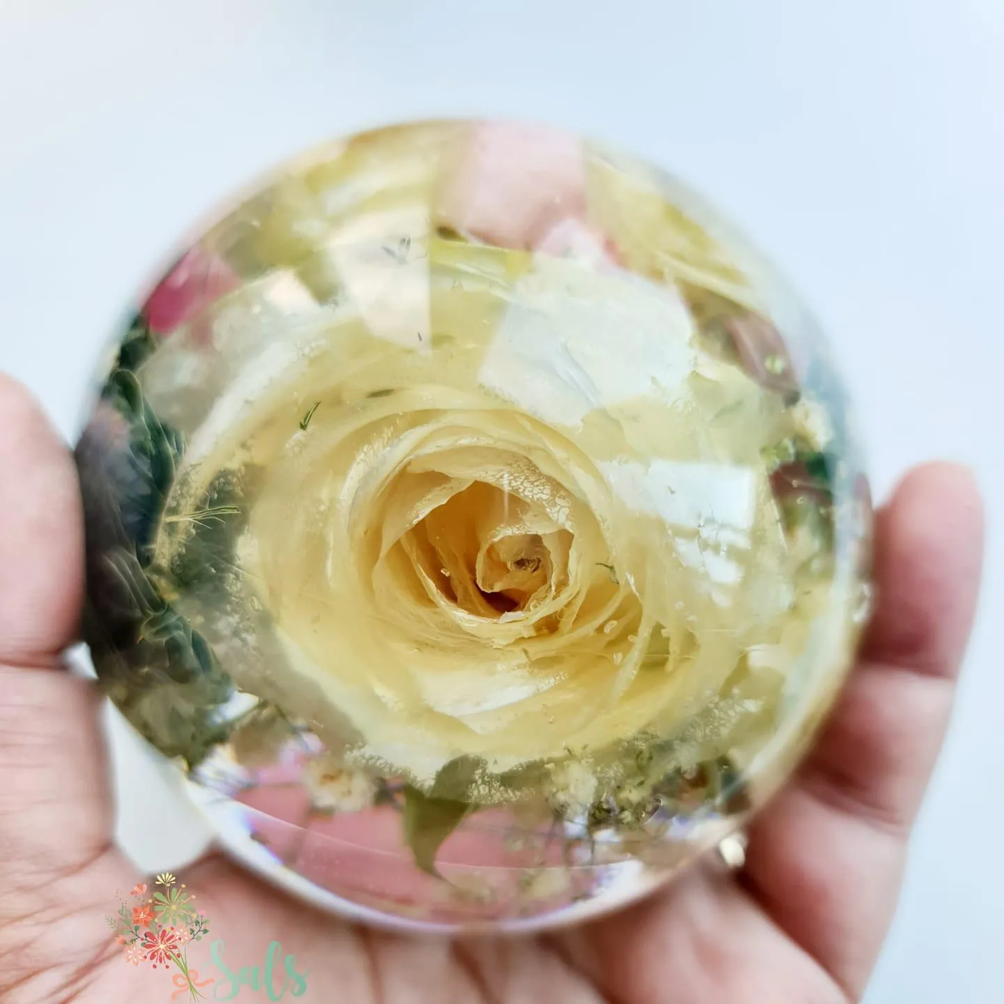 Sals Forever Flowers Ltd