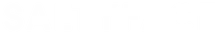Saltyface light logo