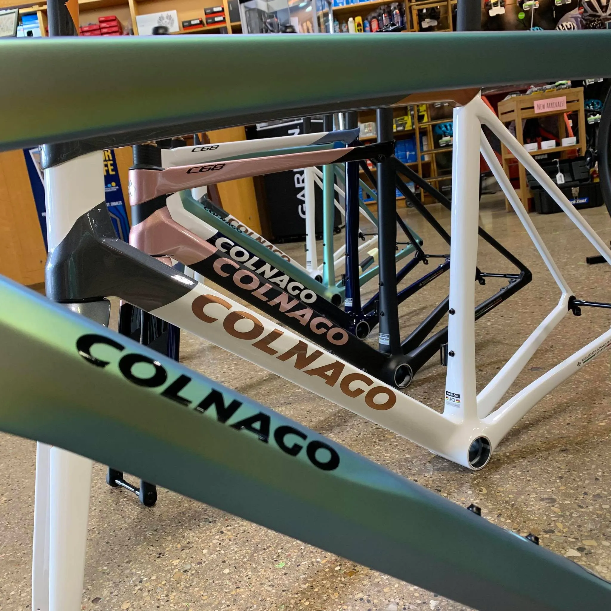Sammy's Bikes