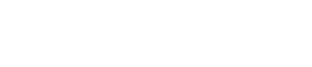Sam Sulek light logo