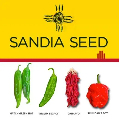 Sandiaseed