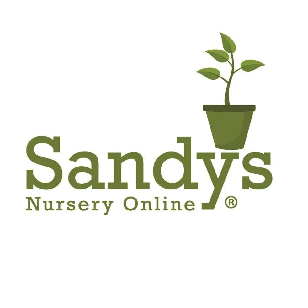 Sandysnurseryonline