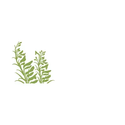 Santafegardening