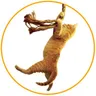 Save the Cat! logo