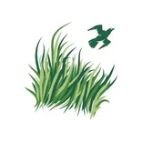 Sawgrass Country Club logo/icon
