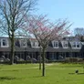 Logo Boersma`s Appartementen