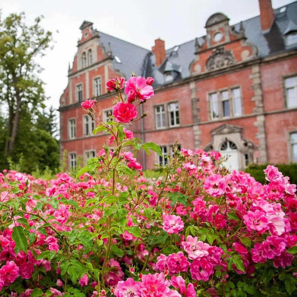 Hospiz Schloss Bernstorf
