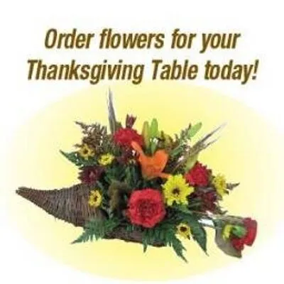 Schroederflowers