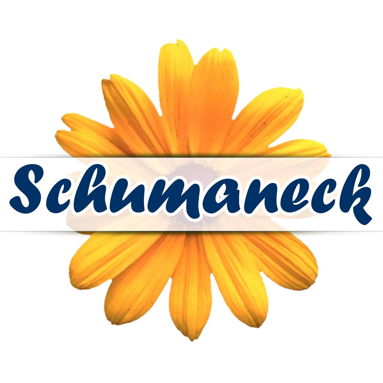 Schumaneck Kinderhaus gGmbH