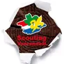 Logo Scouting Voerendaal