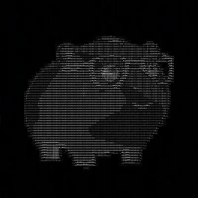 Scrapybara logo