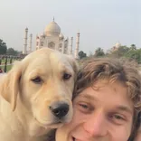 Scribewave logo/icon