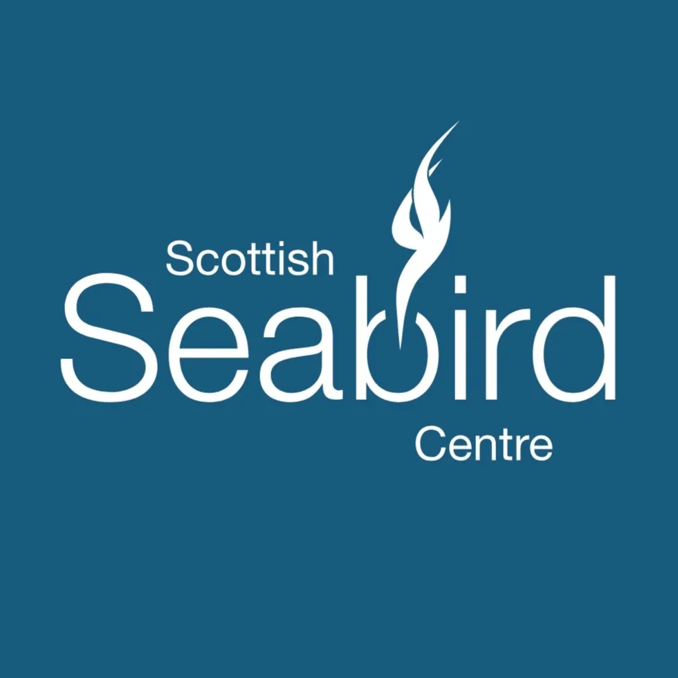 Seabird logo