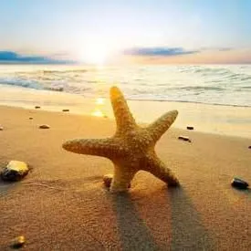 Seasidebeachdecor