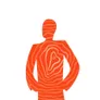Logo Seesing Flex