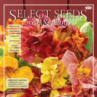 Select Seeds Co logo