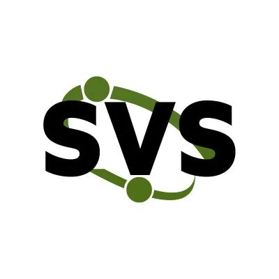 Semper Valens Solutions, Inc. logo