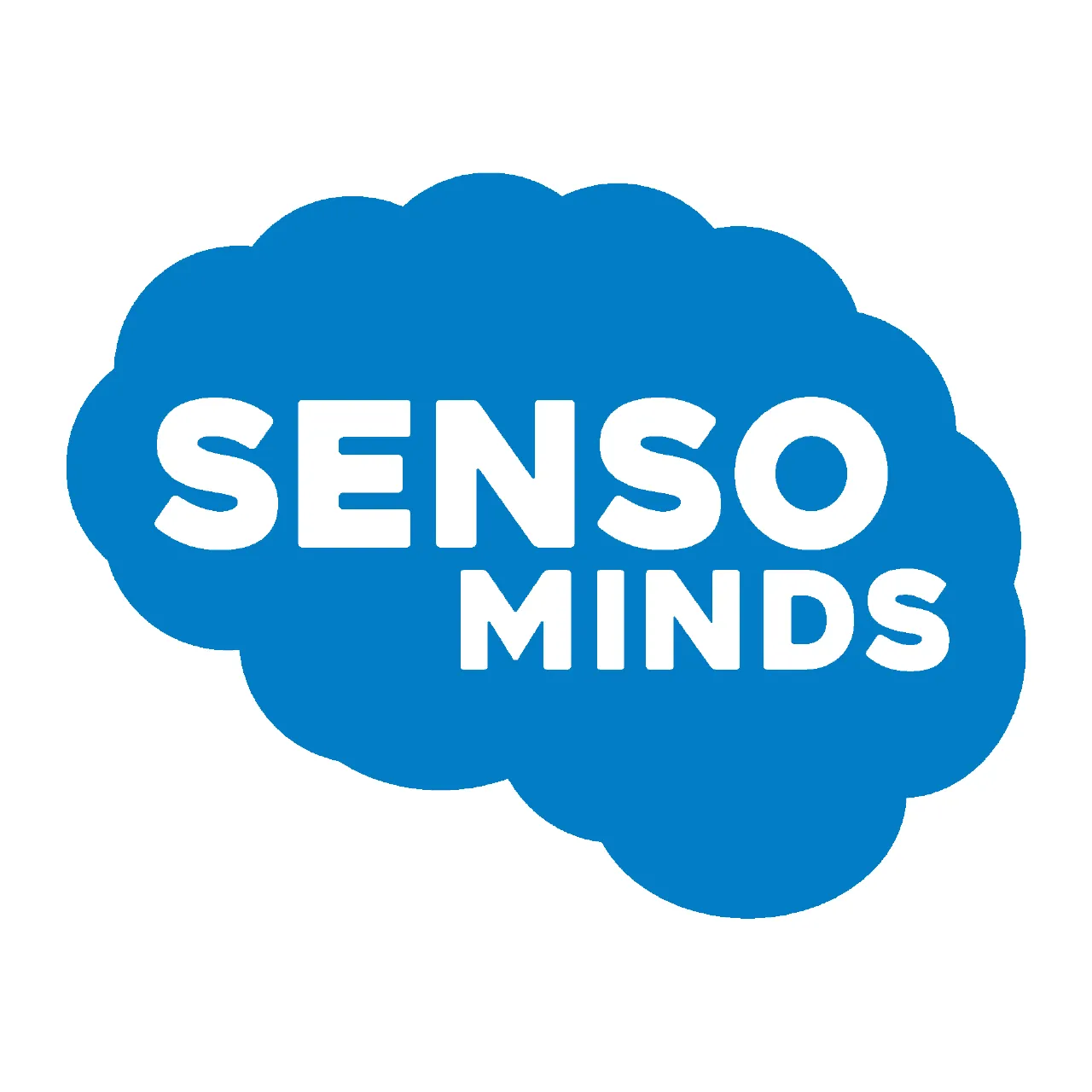 Senso Minds