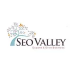 SEOValley logo/icon