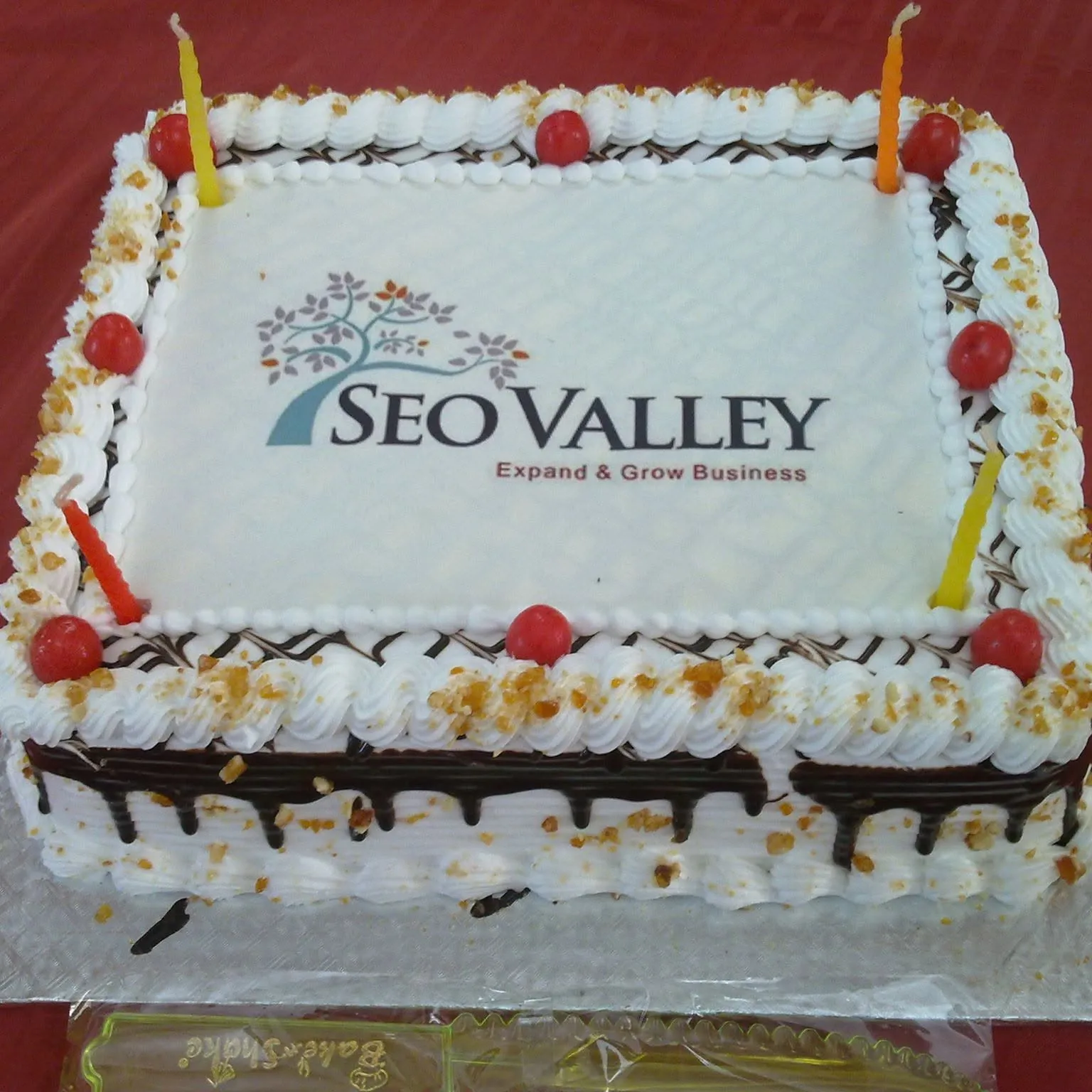SEOValley Logo