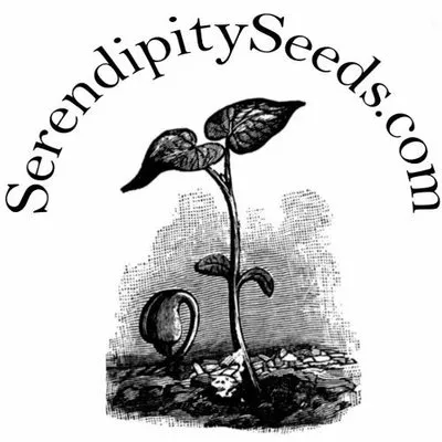 Serendipityseeds