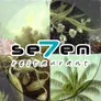 Logo Seven