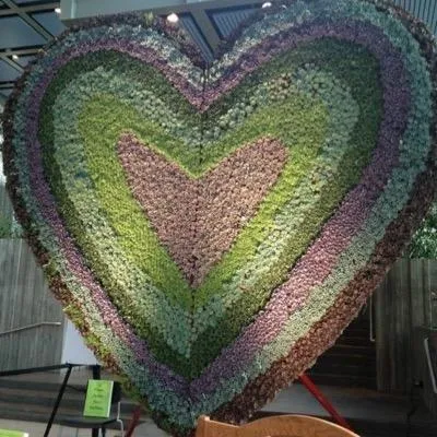 Succulent Gardens