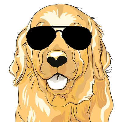 Shades Sunglasses