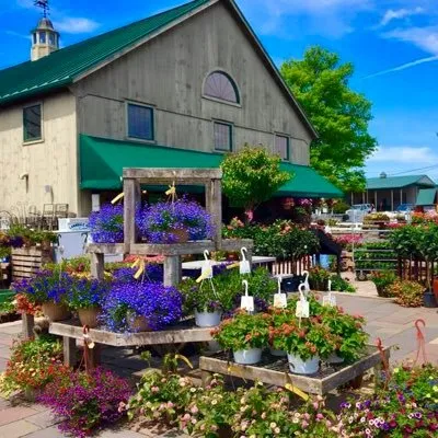 Shady Brook Farm logo