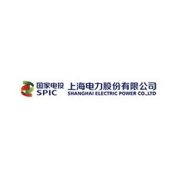 上海中电投 logo