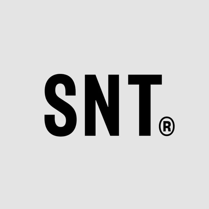 Shaping New Tomorrow GmbH logo
